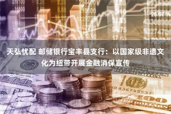 天弘忧配 邮储银行宝丰县支行：以国家级非遗文化为纽带开展金融消保宣传