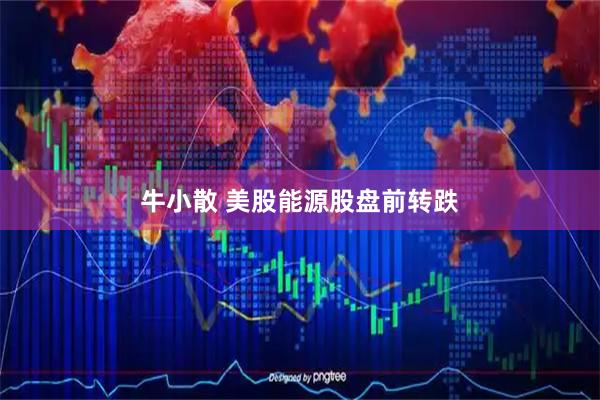 牛小散 美股能源股盘前转跌