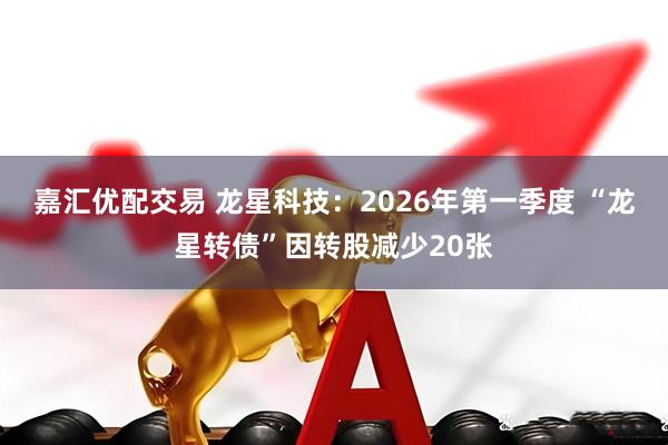嘉汇优配交易 龙星科技：2026年第一季度 “龙星转债”因转股减少20张