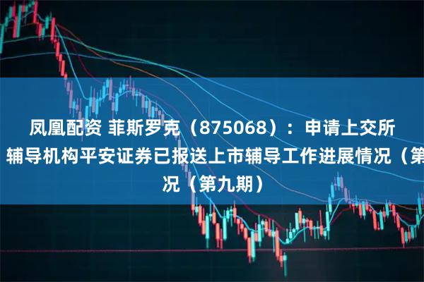 凤凰配资 菲斯罗克（875068）：申请上交所上市，辅导机构平安证券已报送上市辅导工作进展情况（第九期）
