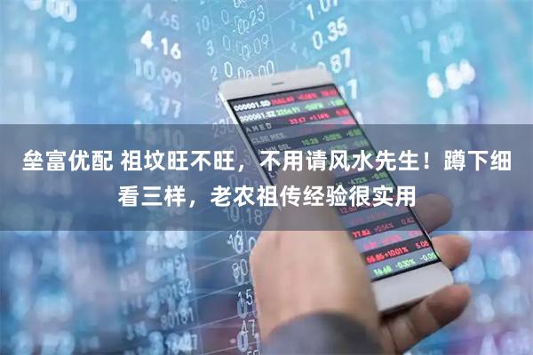 垒富优配 祖坟旺不旺，不用请风水先生！蹲下细看三样，老农祖传经验很实用