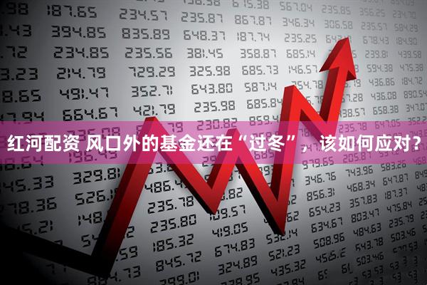红河配资 风口外的基金还在“过冬”，该如何应对？