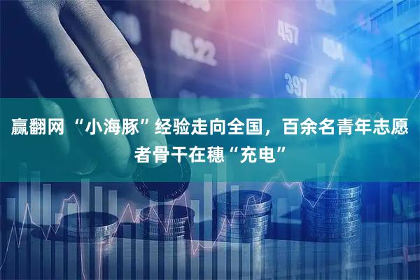 赢翻网 “小海豚”经验走向全国，百余名青年志愿者骨干在穗“充电”