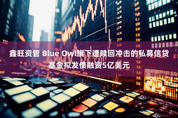 鑫旺资管 Blue Owl旗下遭赎回冲击的私募信贷基金拟发债融资5亿美元
